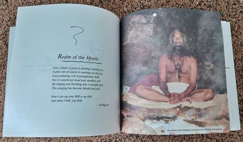 Mystic's Musings (Sadhguru)