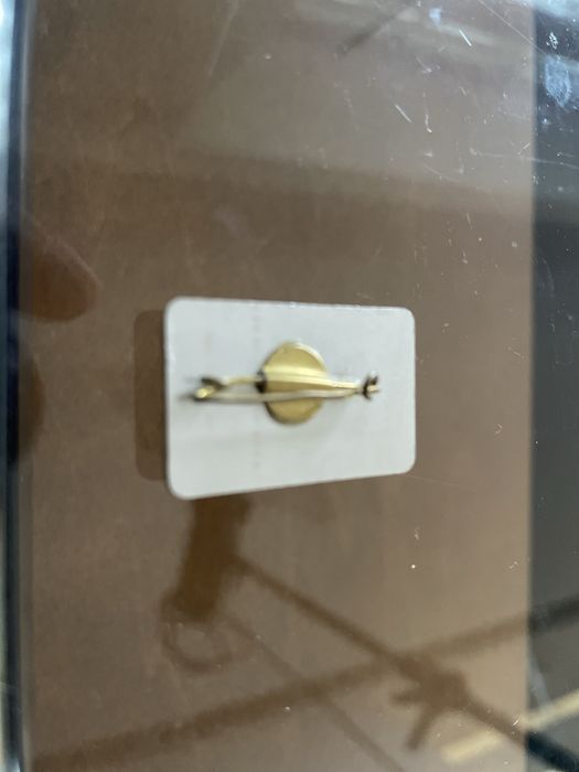 PIN rarissimo Soares Carneiro candidato AD 1980