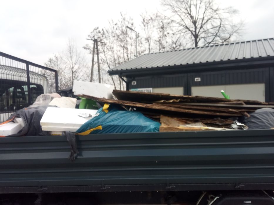 Czyszczenie działek wycinka drzew wywóz