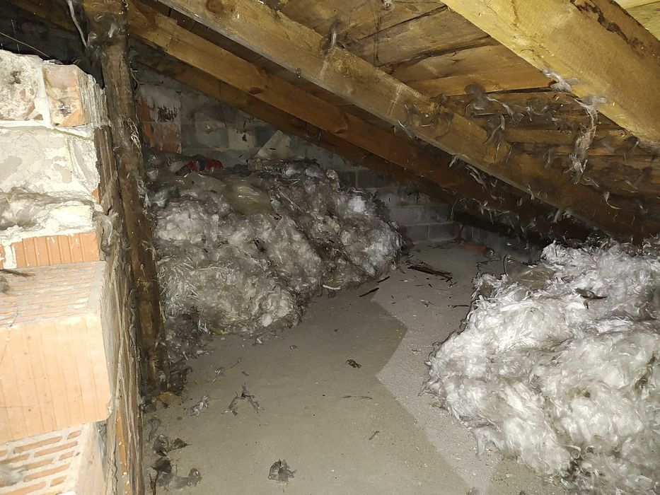 Oddam za darmo watę szklaną – do odbioru z poddasza