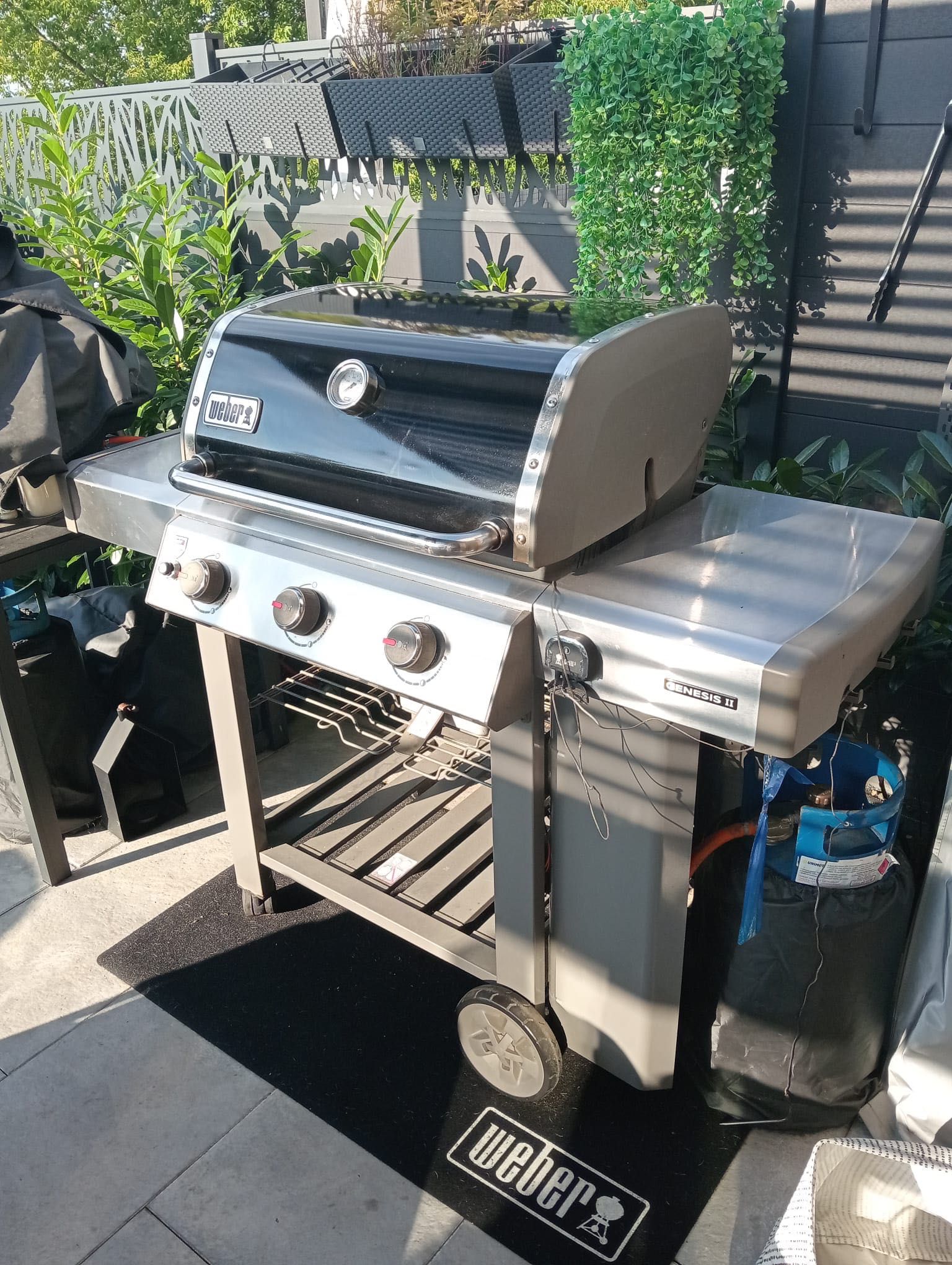 Grill Weber genesis II