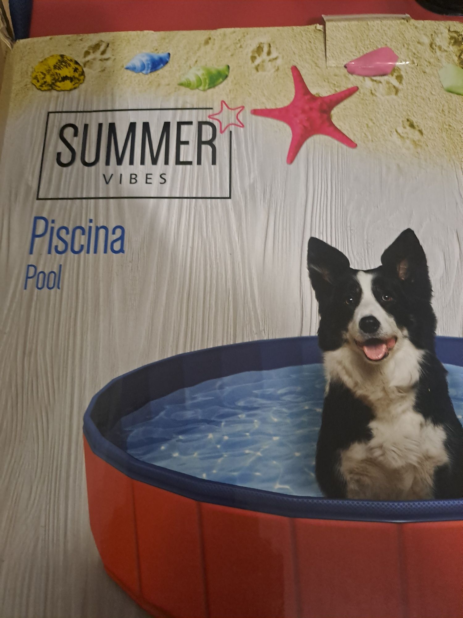 Piscina para cães