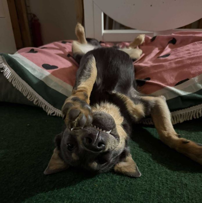 Jestem niechcianym dzieckiem, czy ktoś mnie pokocha? Hania