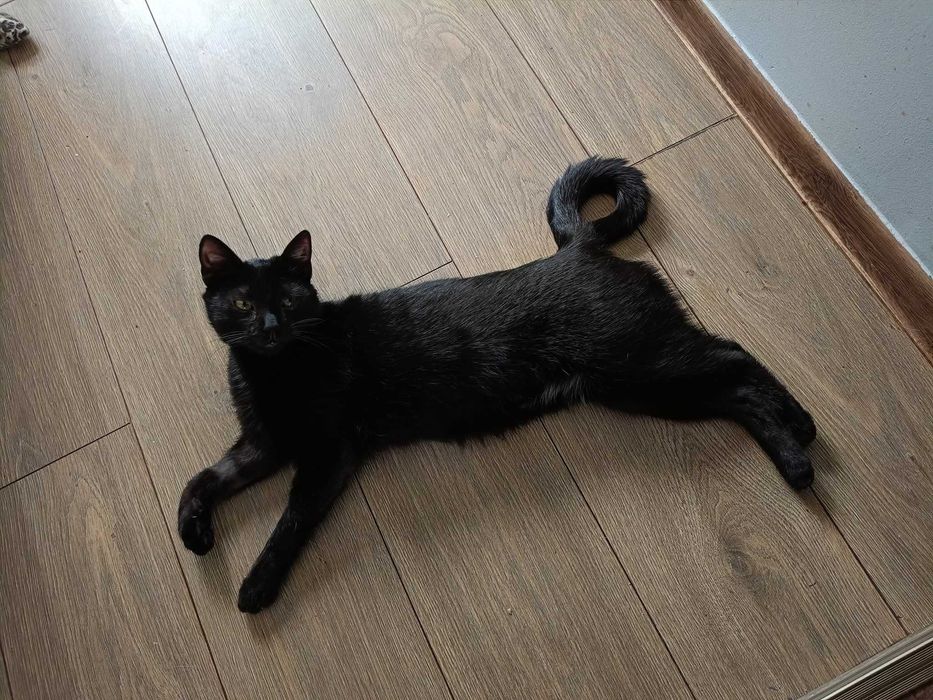 Sigma nie pozwala na nudę