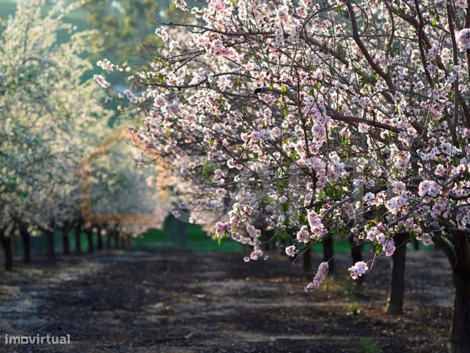 Herdade de rentabilidade diversificada
