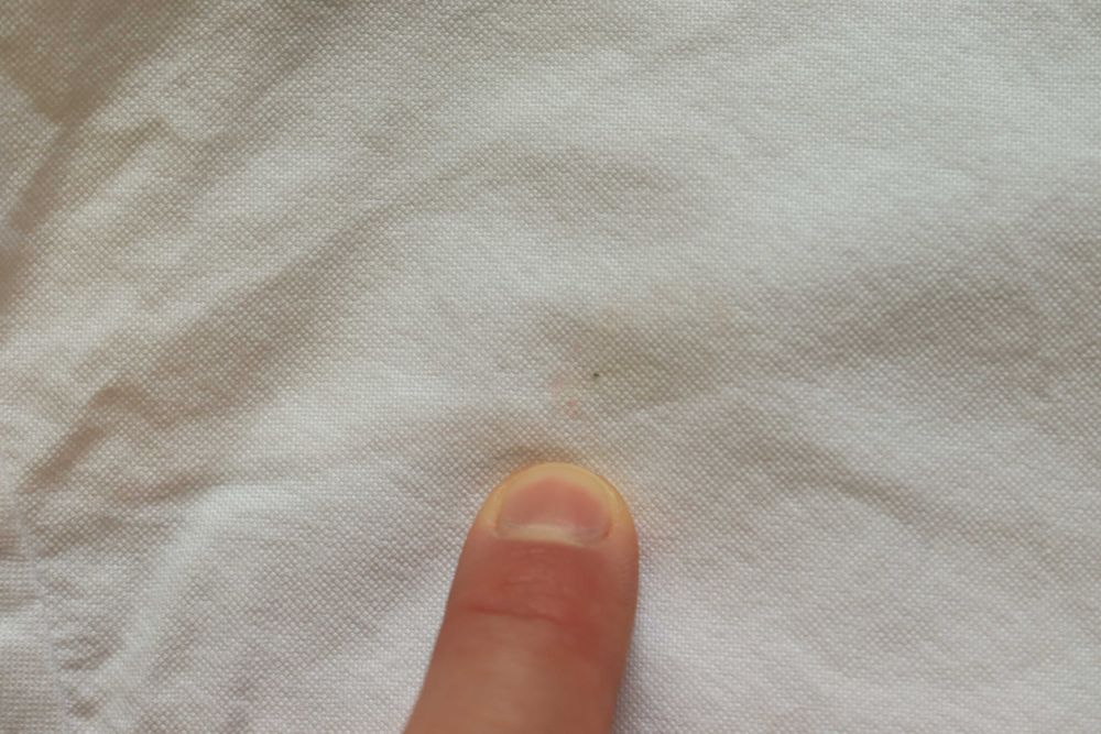 Koszula Lyle and Scott r. XS biała damska dł. rękaw bawełniana