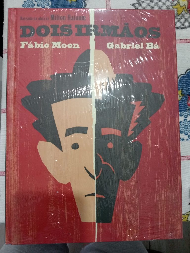 Livro 2 irmãos...