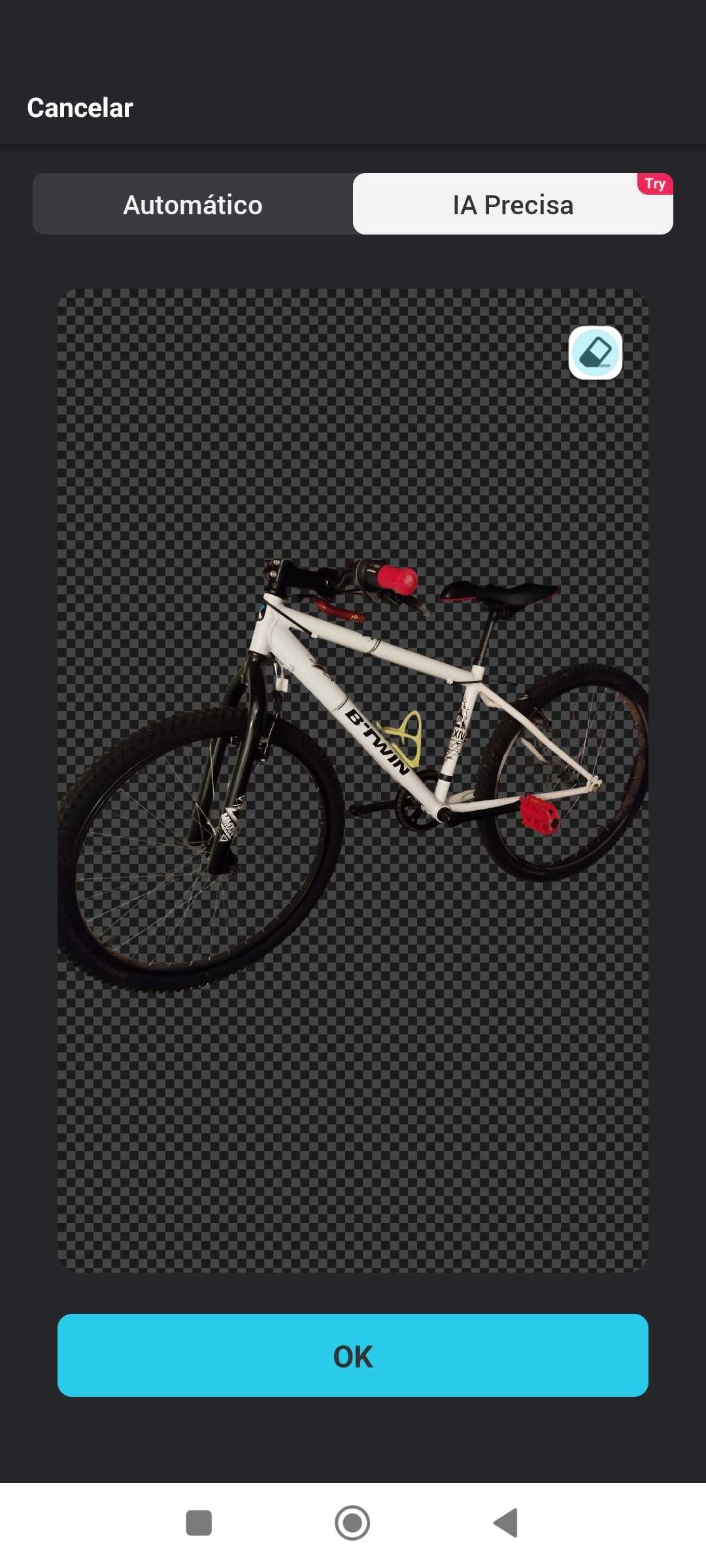Bicicleta B -Twin