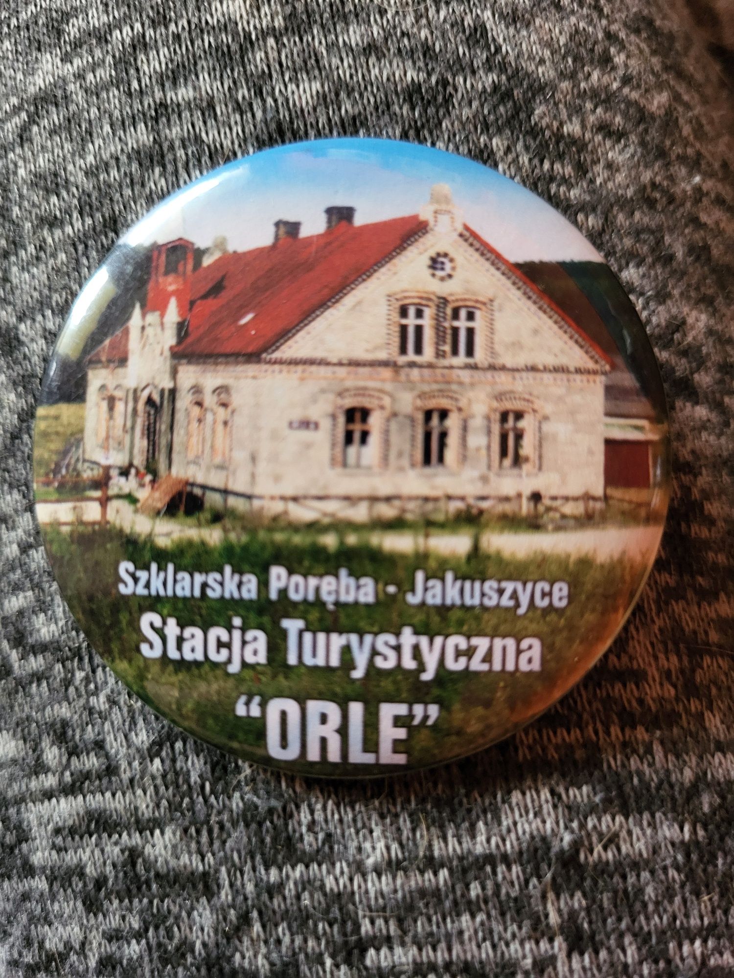 Przypinki ze schronisk