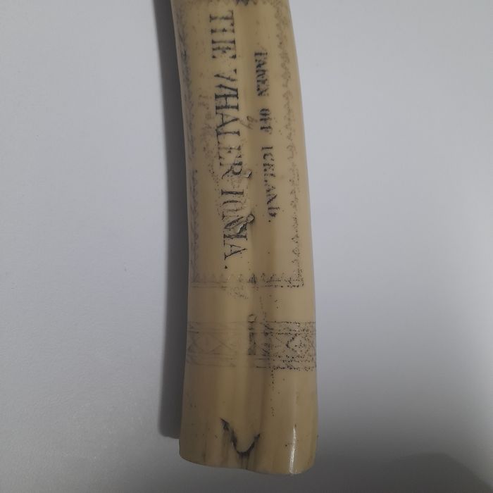 Presa Marfinite (com inscrições)