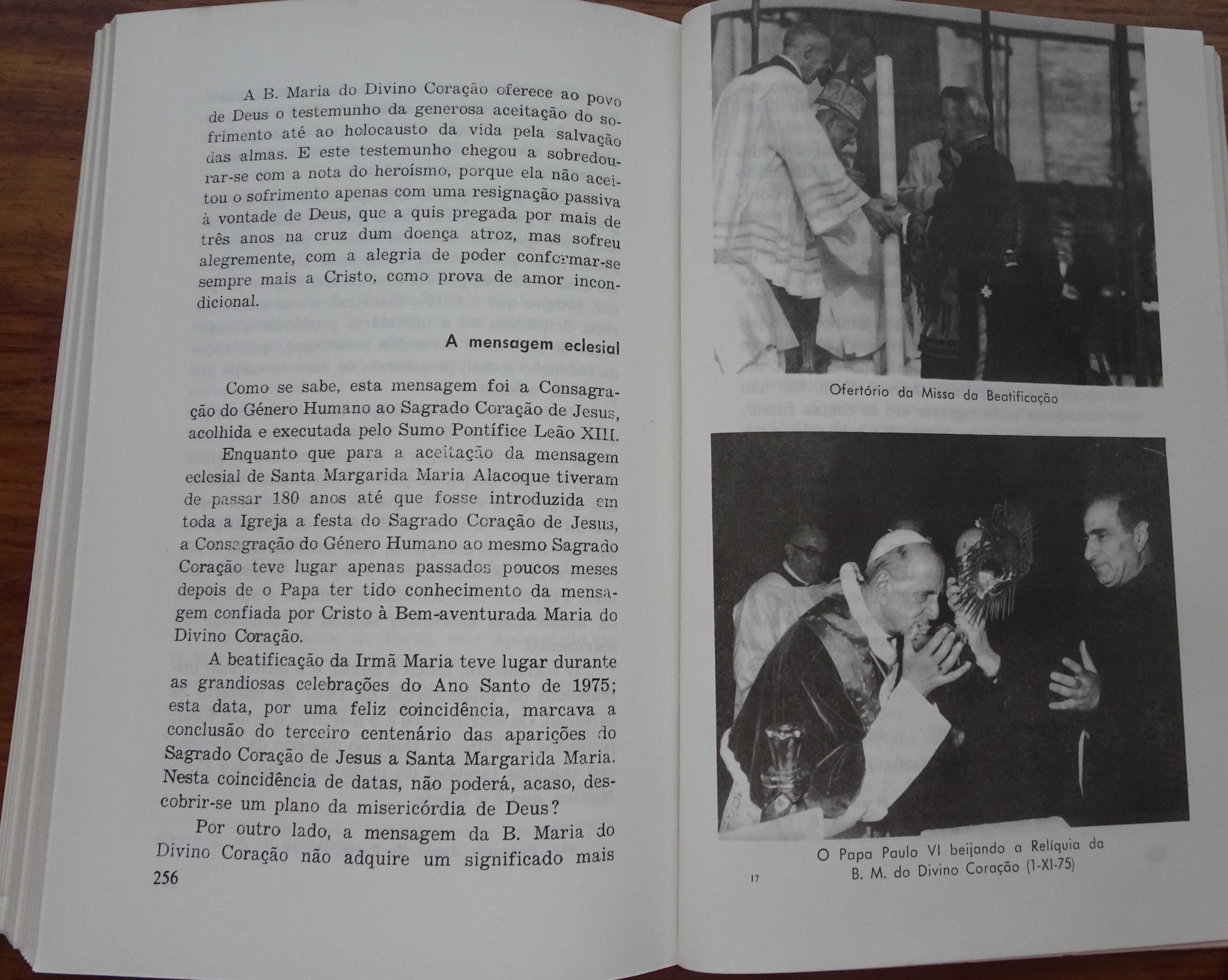 A Bem Aventurada Maria do Divino Coração Droste Zu Vischering