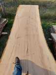 Monolity jesionowe deski na stół foszty tarcica XXL jesion loft 12cm