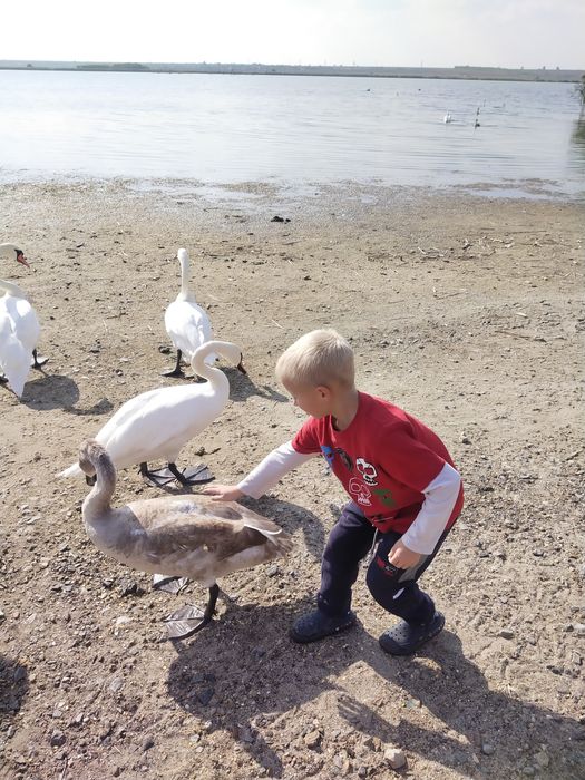 Продается Дом в Безопасном месте недалеко от речки