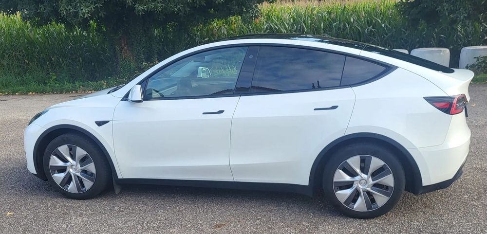 Tesla Model Y RWD
