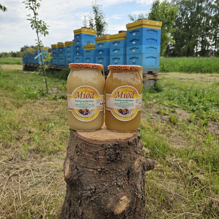 Naturalny miód z własnej pasieki