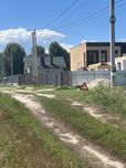 Продам ділянку с Петропавлівське Бориспільский рн поруч з центром