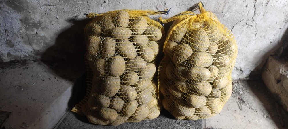 Sprzedam ziemniaki soraya