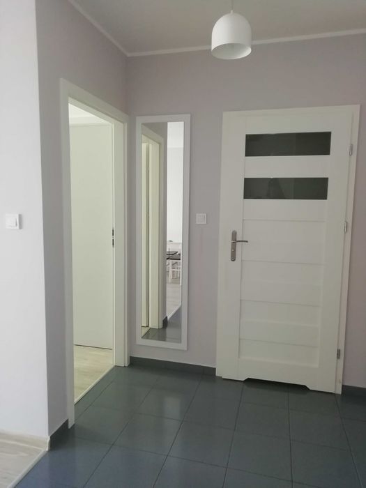 do wynajęcia 2-pokoje, 40 m2, ul. Hawelańska, Winogrady
