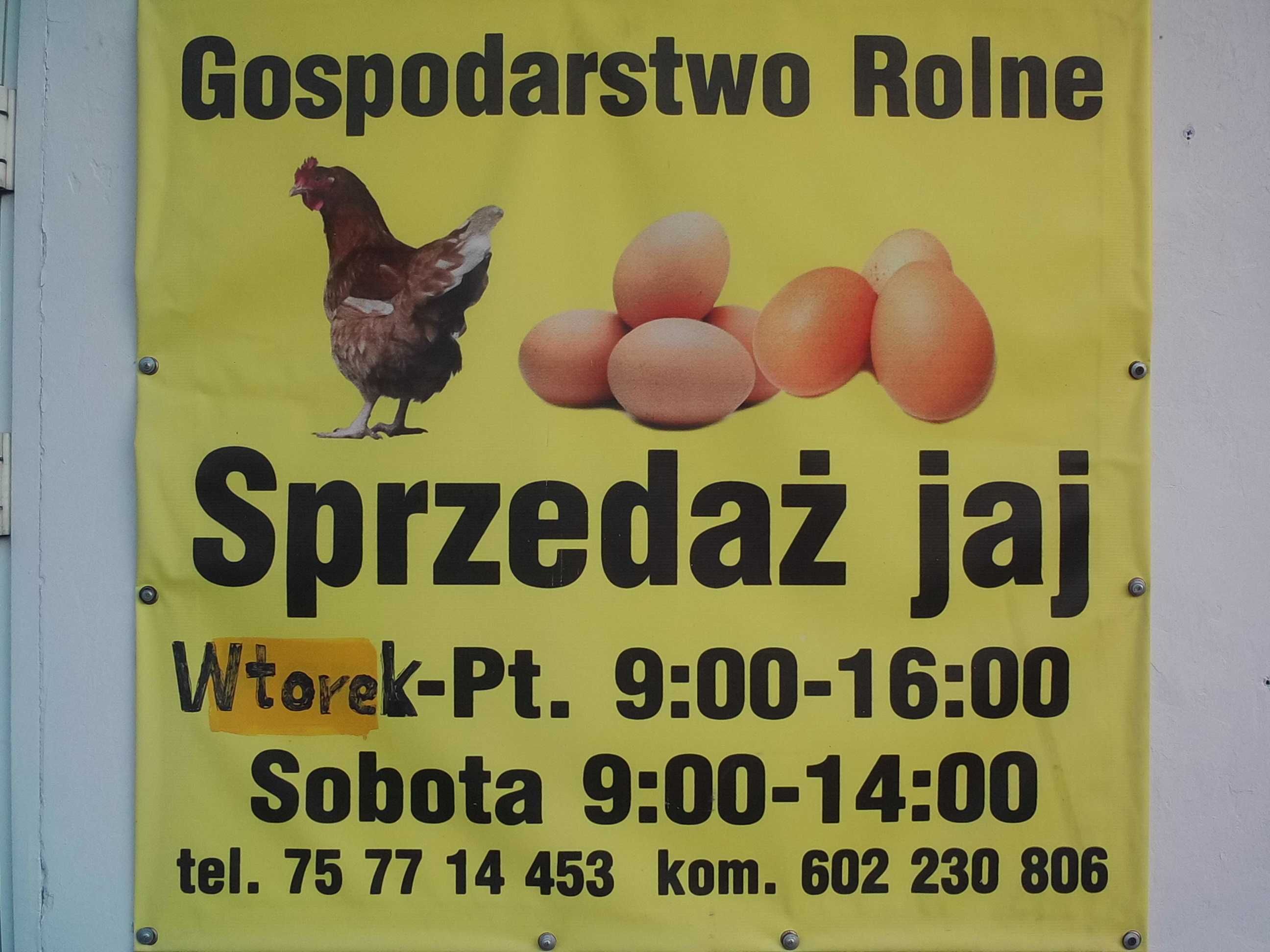 jajka - Gospodarstwo Rolne w Ruszowie