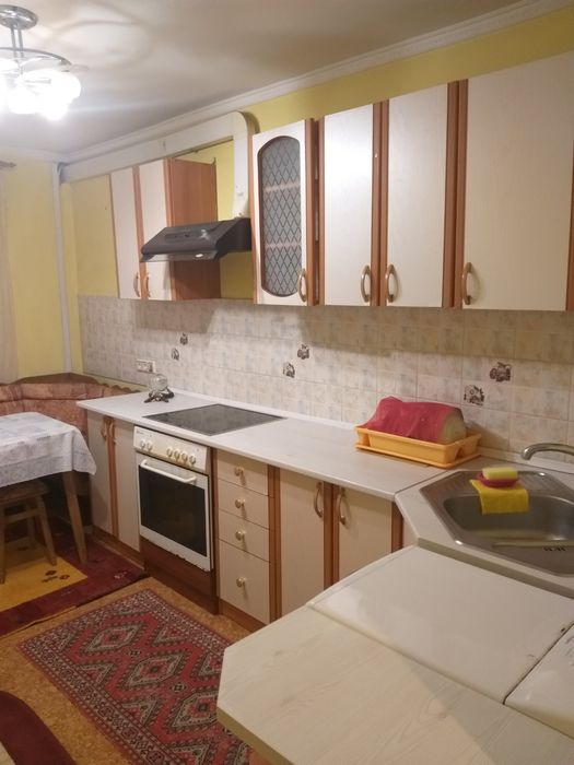 Сдам 1 к Гоголя/центр города с животными можно!