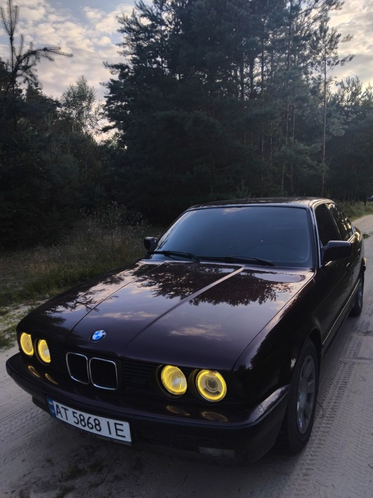 БМВ Е34 М50Б20 Siemens