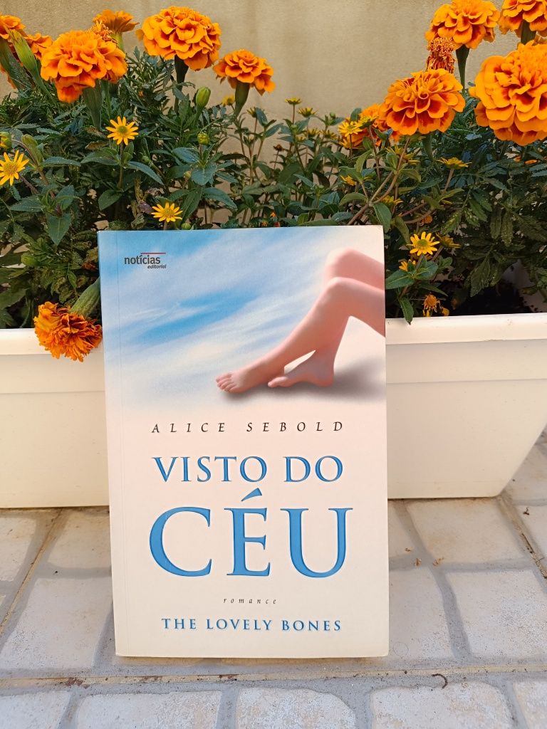 Visto do Céu - Alice Sebold