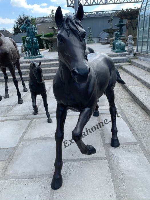 Koń z brązu rzeźba . Figura konia z brązu