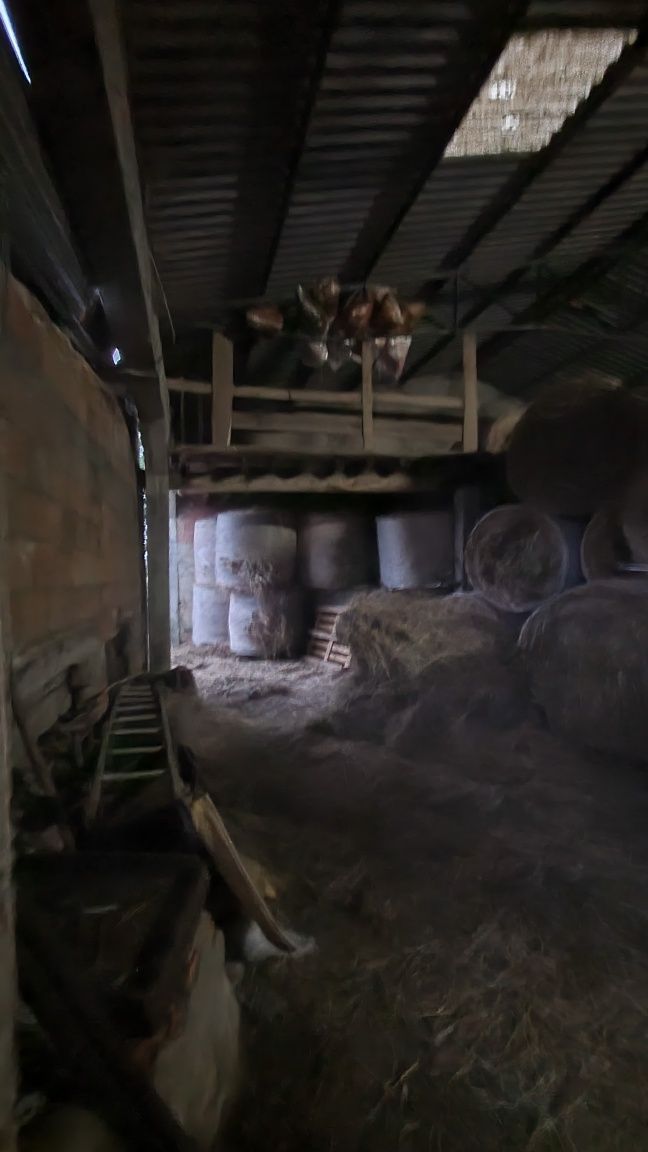 Fardos de palha em rolo NOVO PREÇO