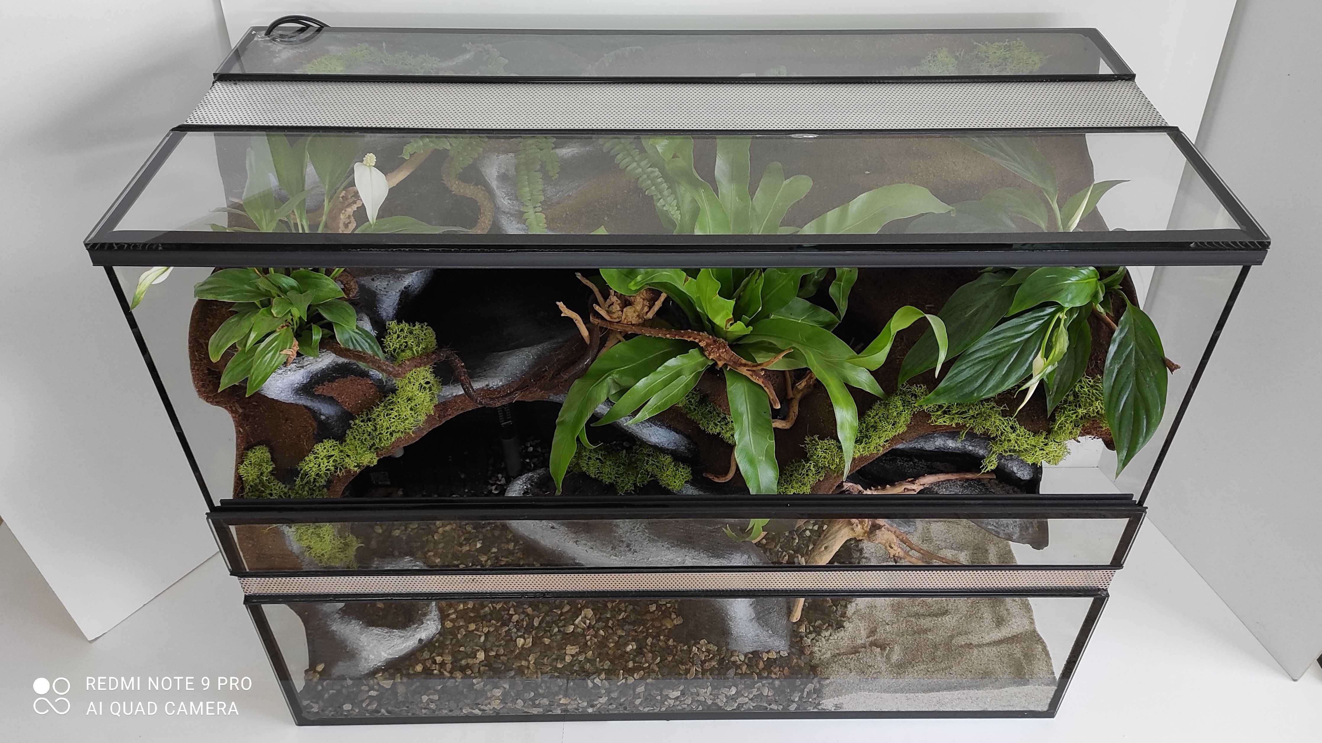 Terrarium z wodospadem i roślinami, TW01W, AquaWaves