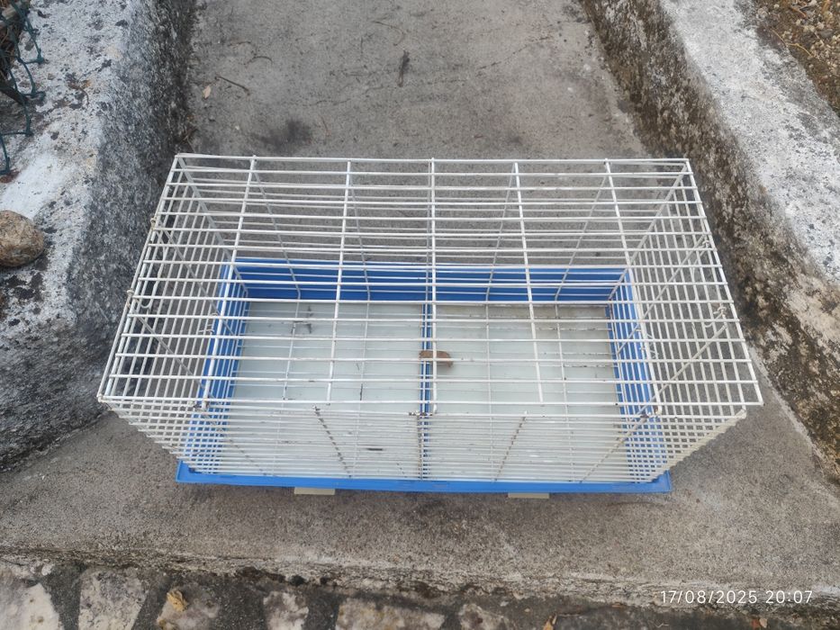 Gaiola para animais