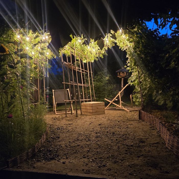 Pokój jednoosobowy do wynajęcia