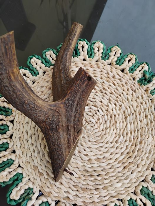 Mienic poroże jelenia wieszak