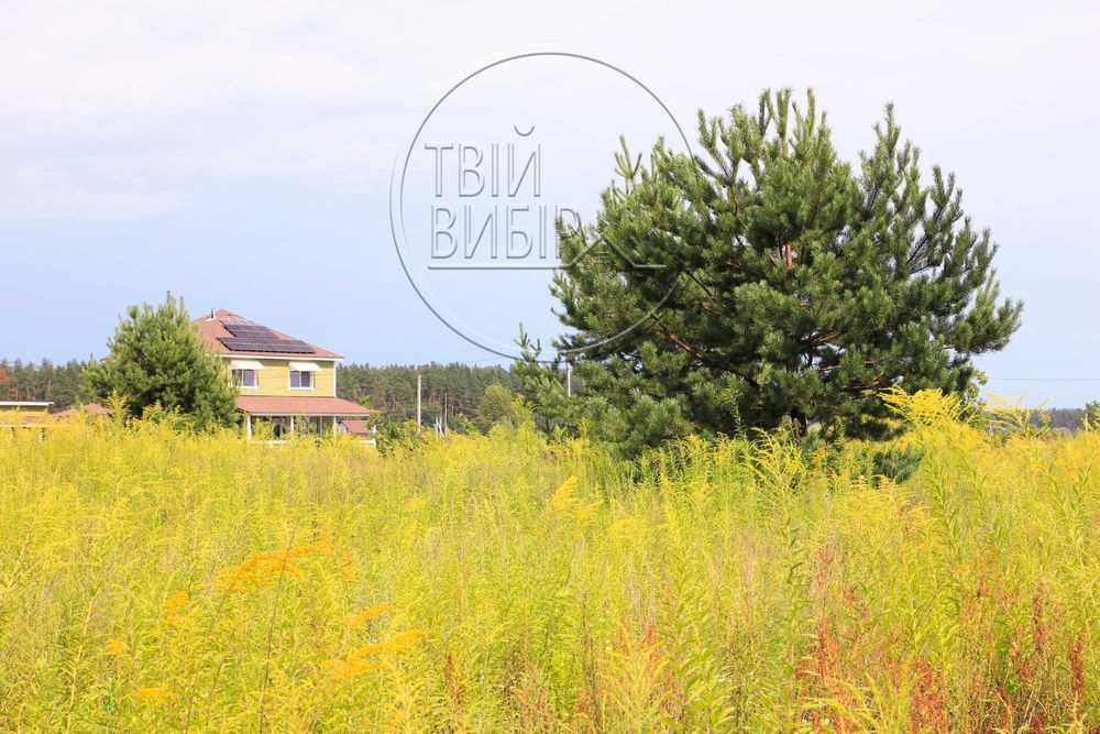 Продаж Ділянки Петрушки 10 соток