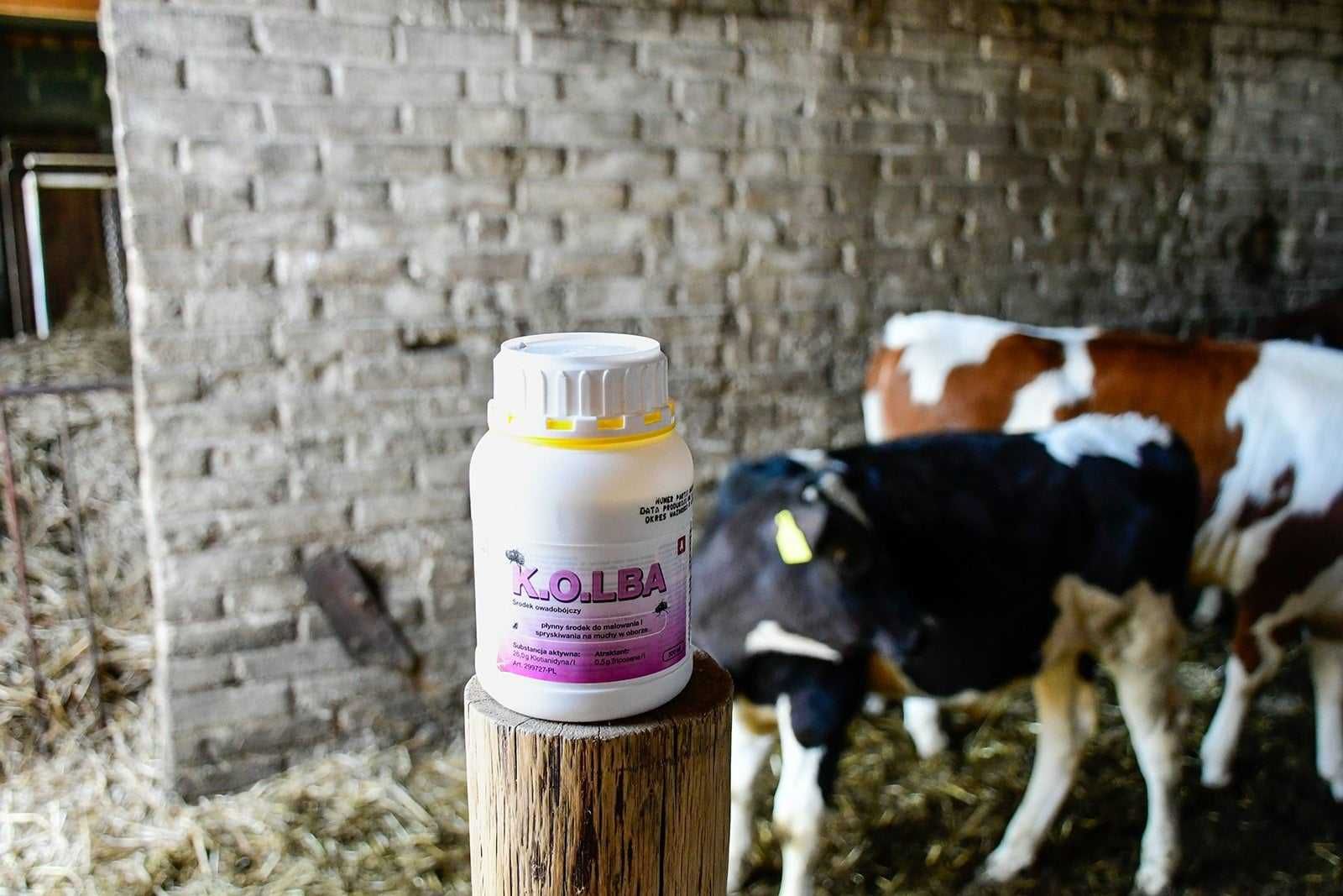 KOLBA Środek owadobójczy na muchy KOLBA, koncentrat, 500 ml