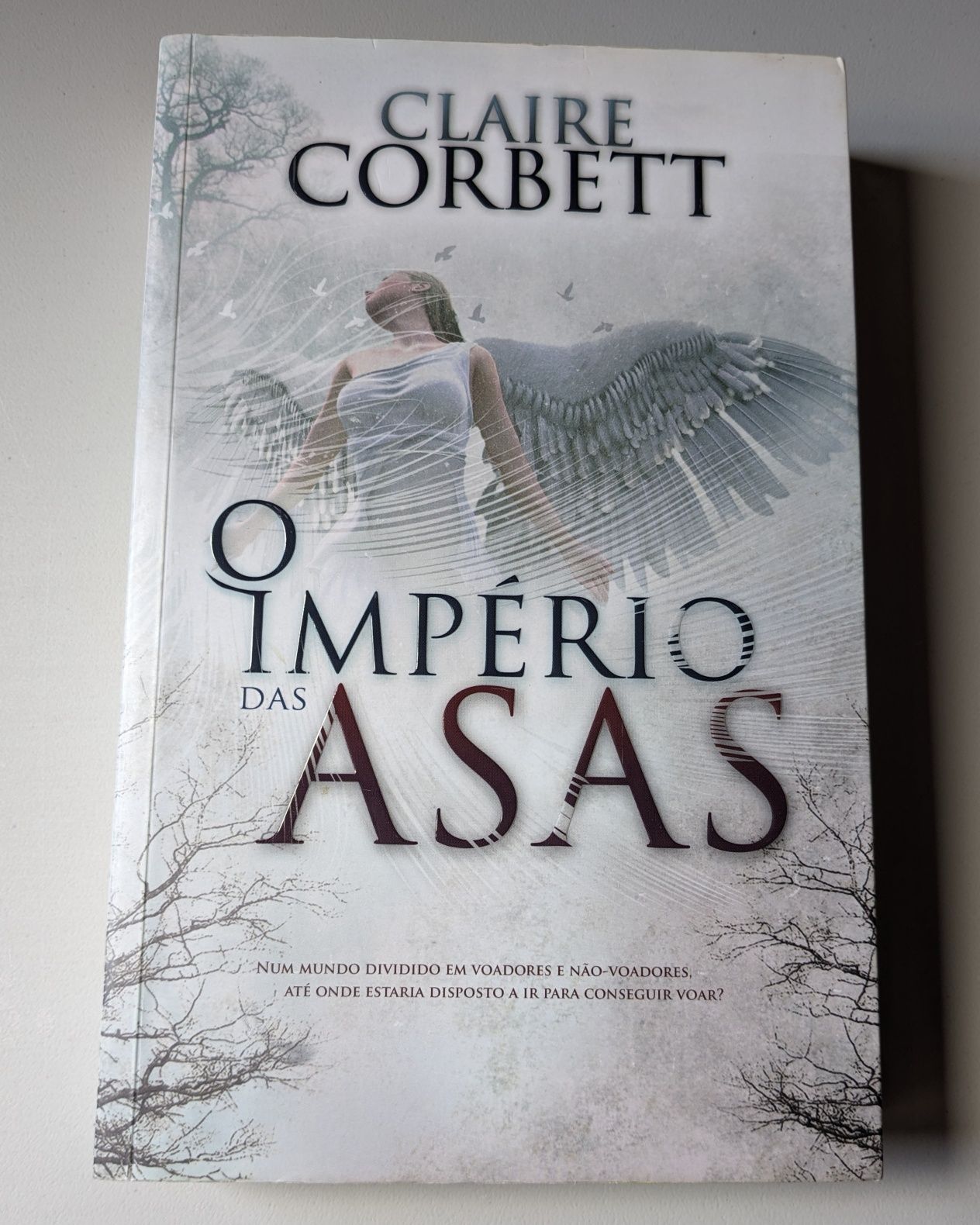 Livros: Romance ( Vários)