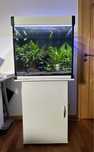 Aquario Completo Cubo 60x60x60