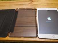 Ipad mini 3 A1600 Cellular