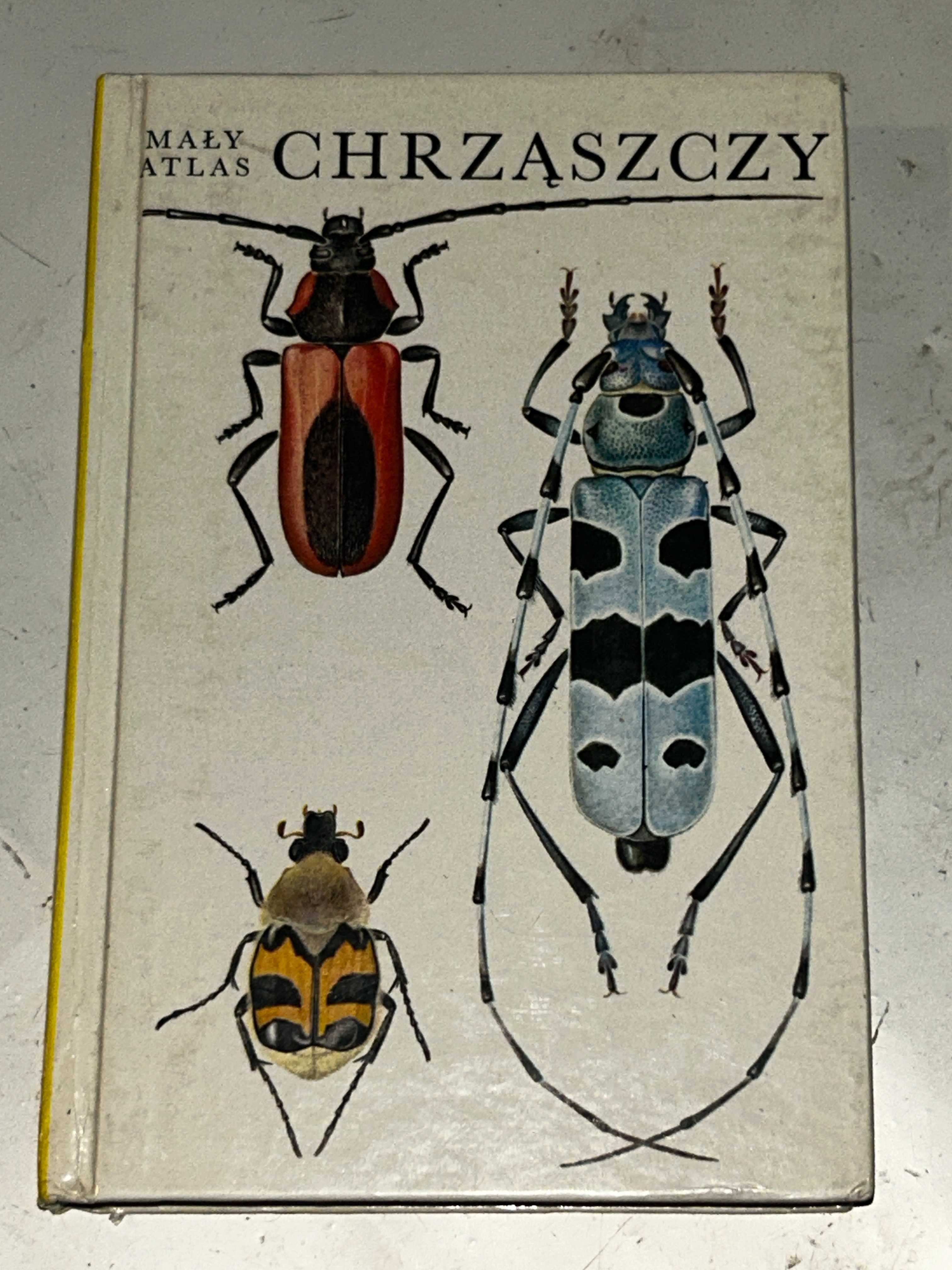 Mały atlas CHRZĄSZCZY Atlas