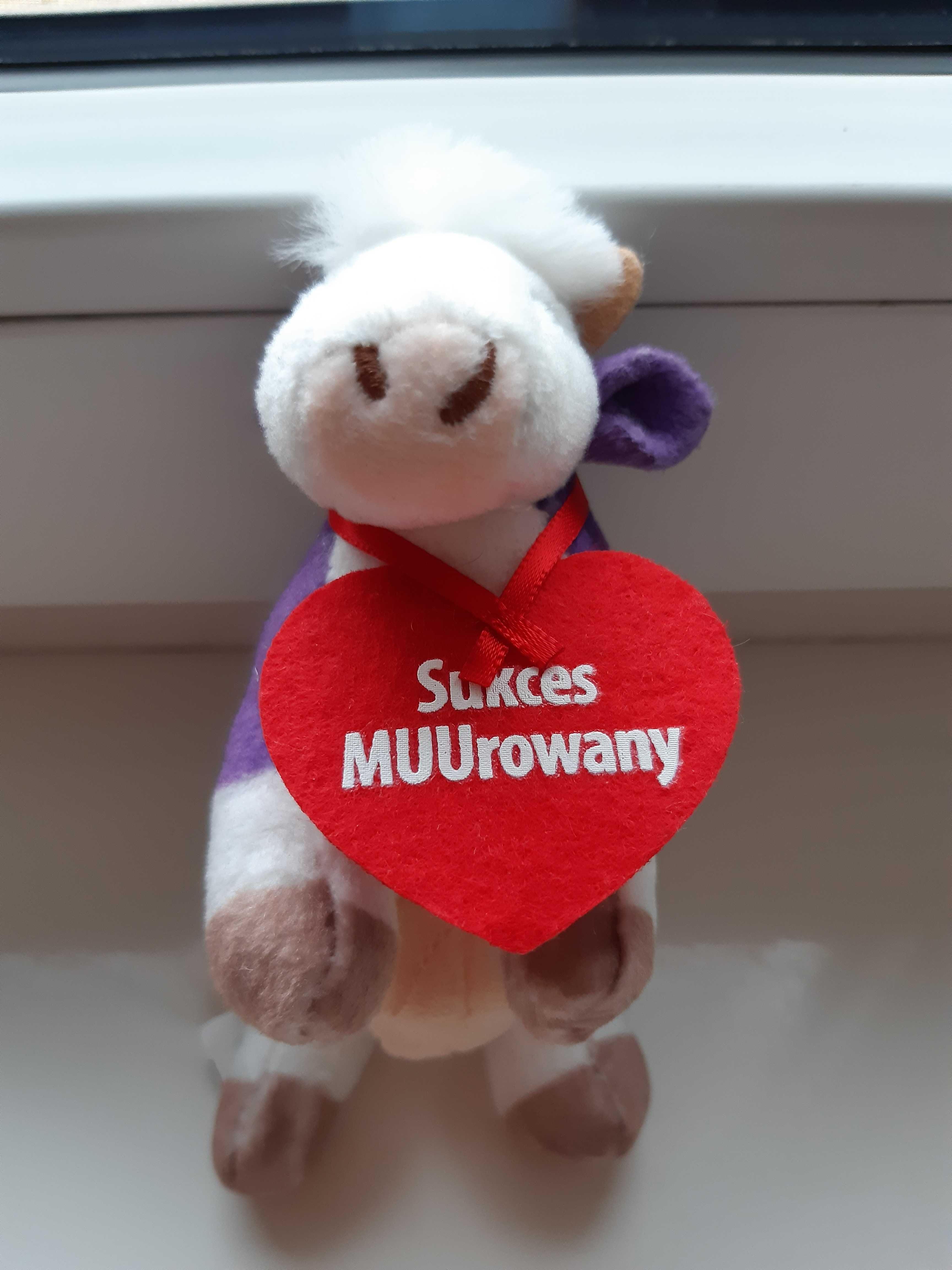 krówka milka pluszowa sukces muurowany