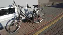 Holenderski rower Batavus