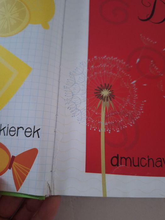 Wielka księga malucha słowniczek literki cyferki