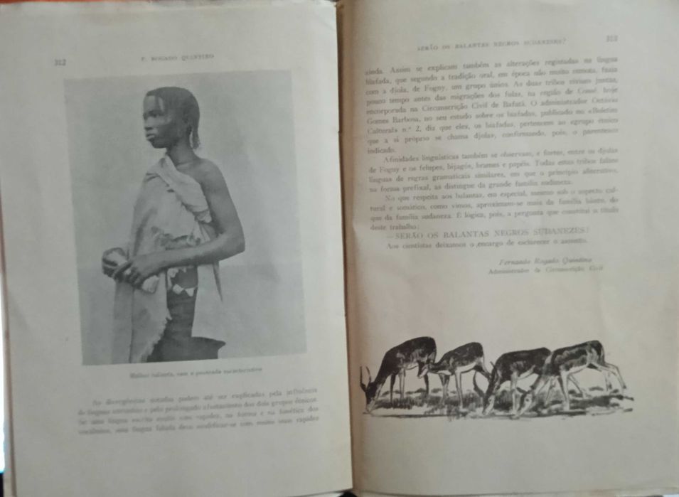 Serão os Balantas Negros Sudaneses ?