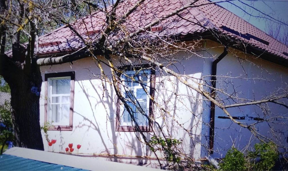 Продам будинок 58м2 с.Світильня Броварський р-н