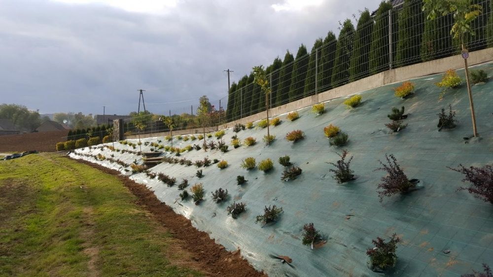 Uslugi Ogrodnicze Wycinka drzew tarasy/Kostak brukowa