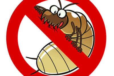 Дезенфекція , дезенсекція, знищення клопів та інших шкідників.