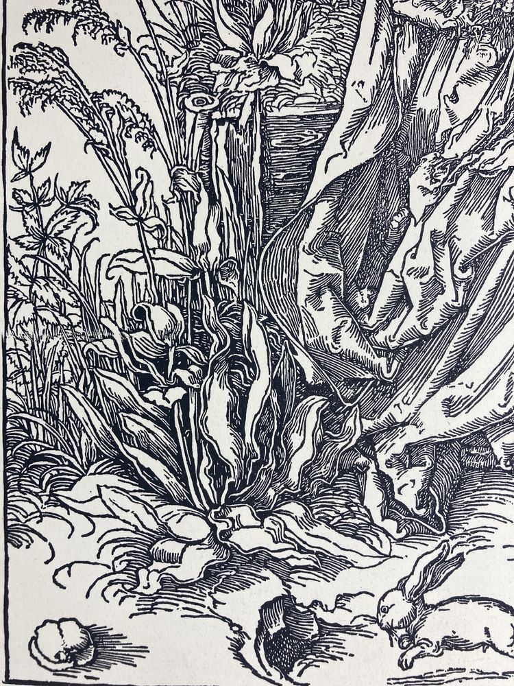 Reprodukcja grafiki Dürera "Święta rodzina z zajączkami" ecru