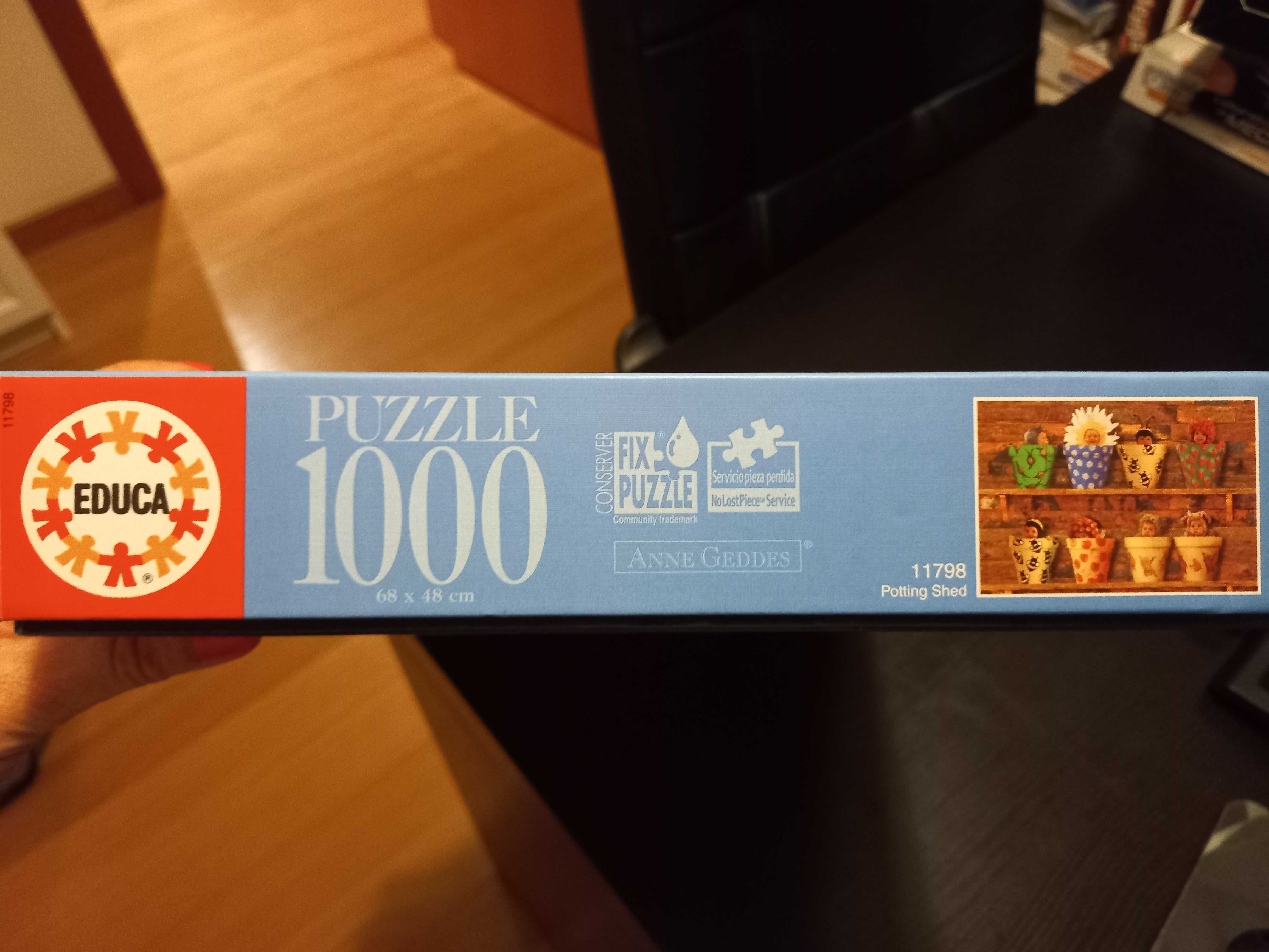 Puzzle 1000 Anne Guedes