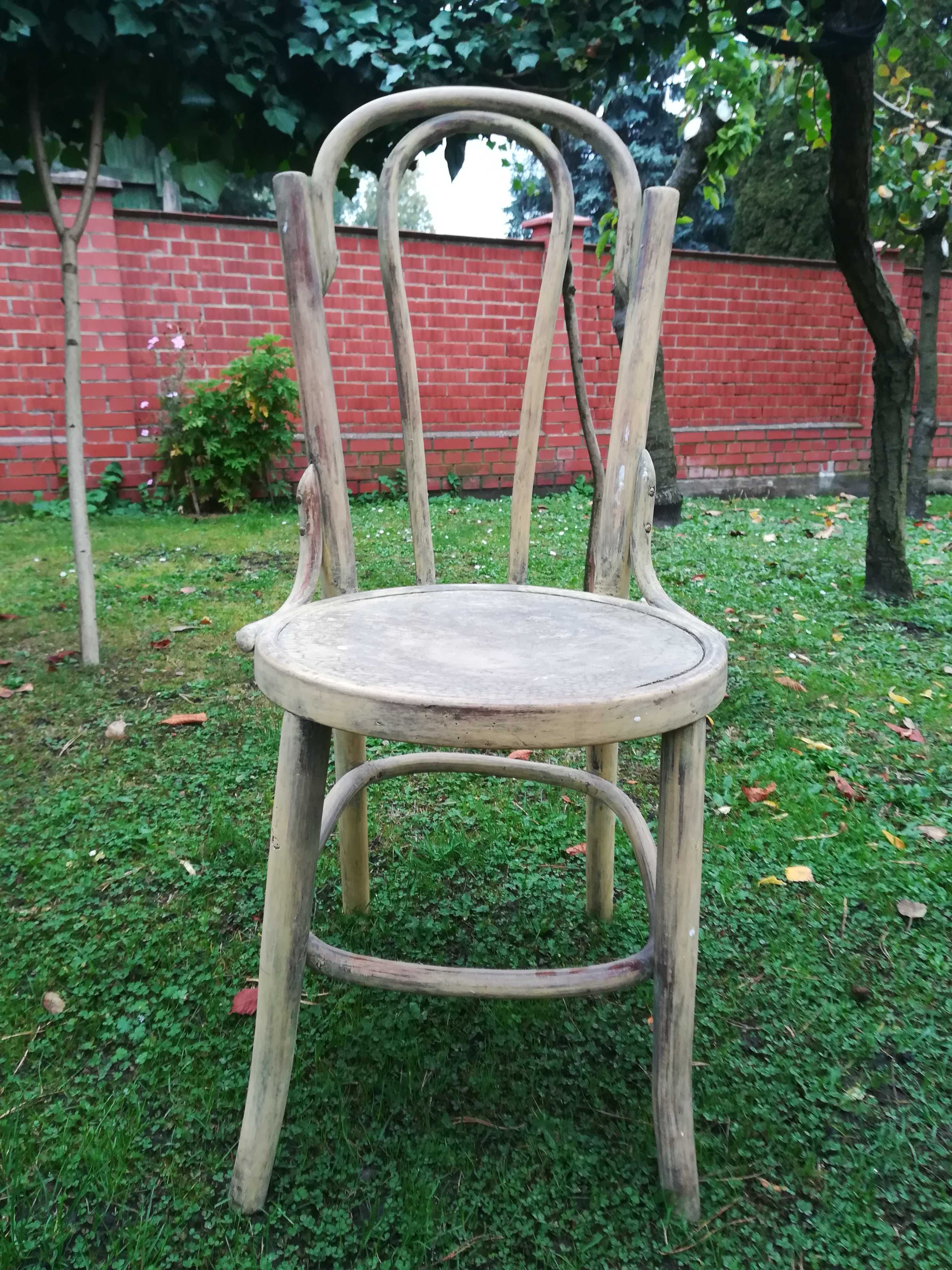 Krzesło zabytkowe Thonet.