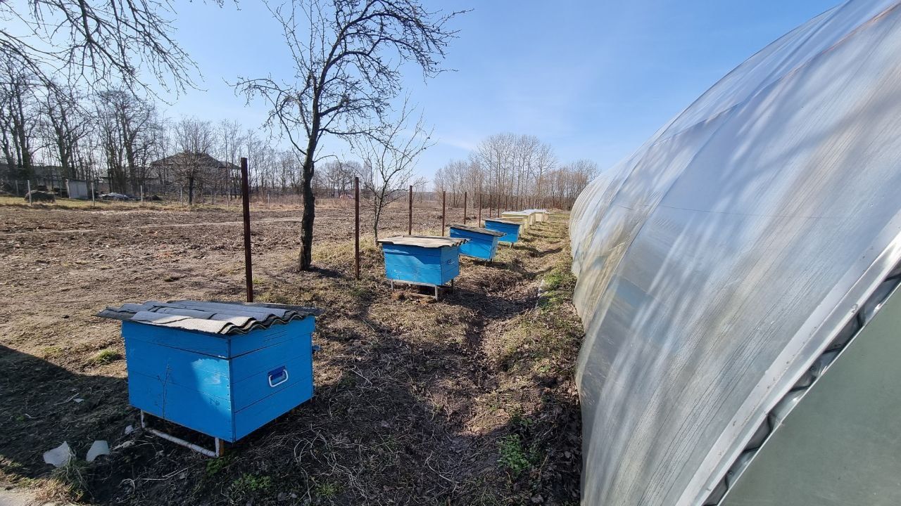 Продаж будинку, діючого бізнесу та землі