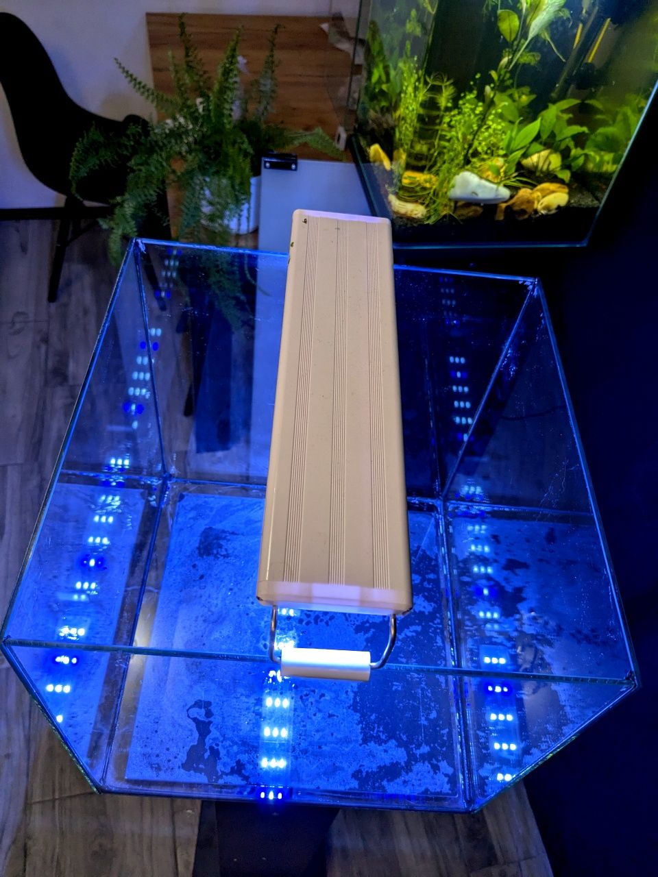 Akwarium krewetkarium cube kostka 30l